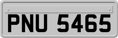 PNU5465