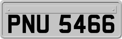 PNU5466