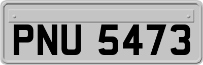 PNU5473