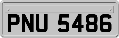 PNU5486