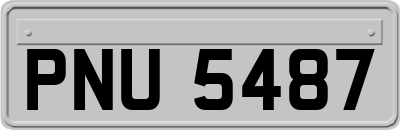 PNU5487
