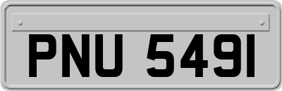 PNU5491