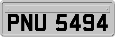 PNU5494