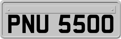 PNU5500