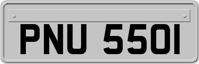 PNU5501