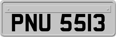 PNU5513