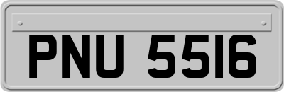 PNU5516