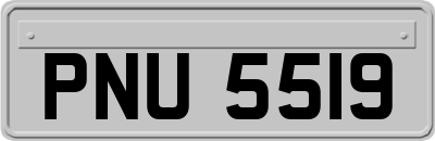 PNU5519