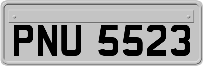 PNU5523