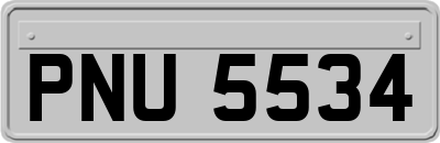 PNU5534