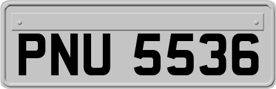 PNU5536
