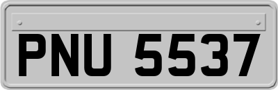PNU5537