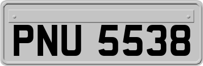 PNU5538