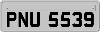 PNU5539