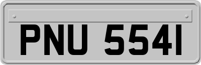 PNU5541