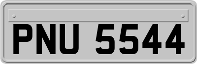PNU5544