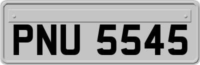 PNU5545