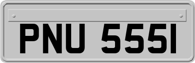 PNU5551