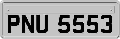 PNU5553