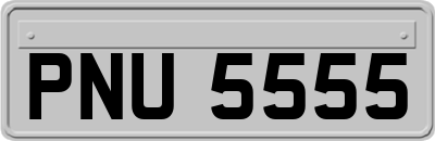 PNU5555