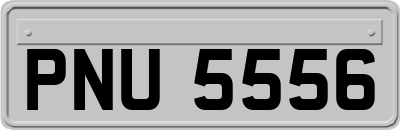 PNU5556