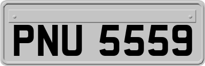 PNU5559