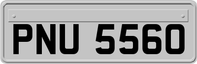 PNU5560