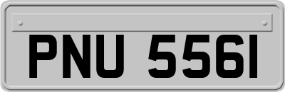 PNU5561