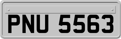 PNU5563