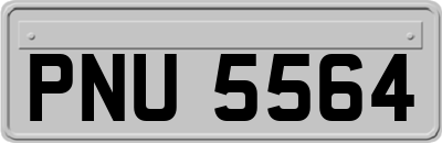 PNU5564
