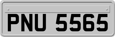 PNU5565