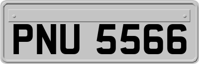 PNU5566