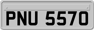 PNU5570