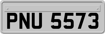 PNU5573