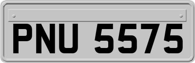 PNU5575