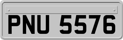 PNU5576