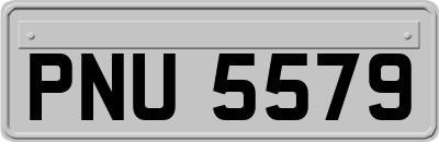 PNU5579
