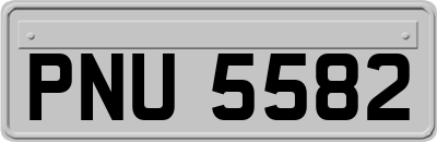 PNU5582
