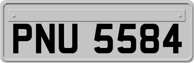 PNU5584