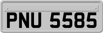PNU5585