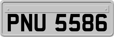 PNU5586