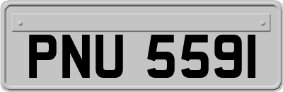 PNU5591
