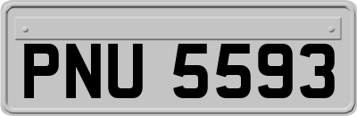PNU5593