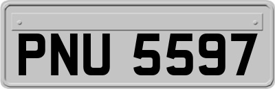 PNU5597