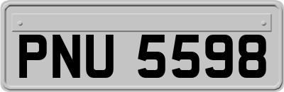 PNU5598