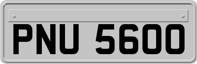 PNU5600