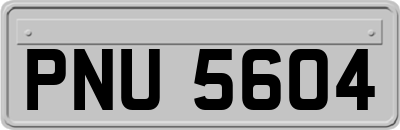 PNU5604