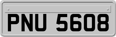 PNU5608