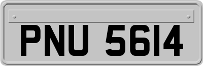 PNU5614