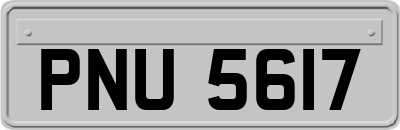 PNU5617